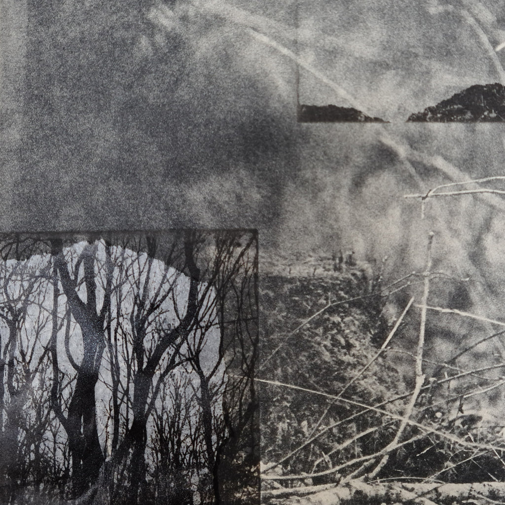 231031|31st October - 5th December 2023|Printing the EcoGothic: Intaglio Landscapes