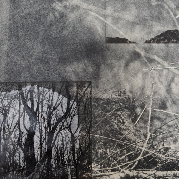 231031|31st October - 5th December 2023|Printing the EcoGothic: Intaglio Landscapes