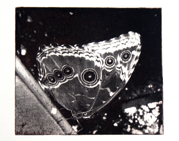 190504|4th - 5th May & 18th - 19th May|Photographic Printmaking Two Part Course