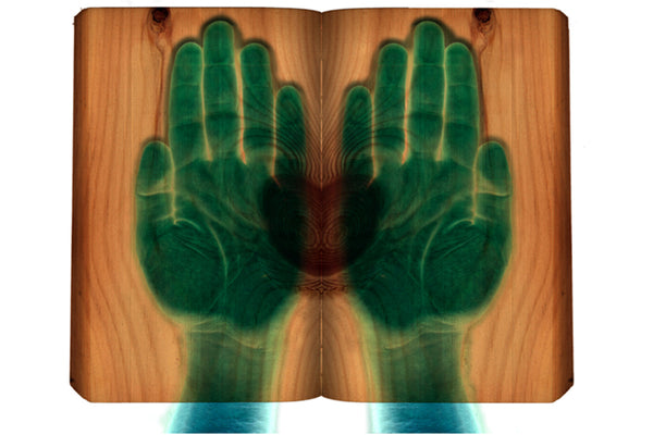 201130|30th November 2020 - 25th October 2021|Bookness: An experimental journey into the potential of the book format